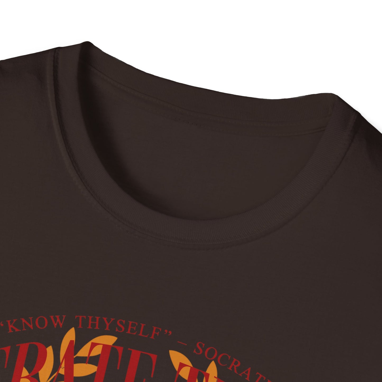Debate Team Vintage Laurel T-Shirt — Master Debater Graphic Tee